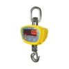 Bilancia dinamometrica per gru